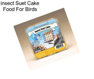 Insect Suet Cake Food For Birds