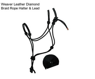 Weaver Leather Diamond Braid Rope Halter & Lead