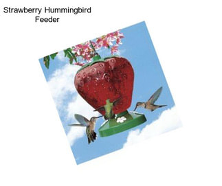 Strawberry Hummingbird Feeder