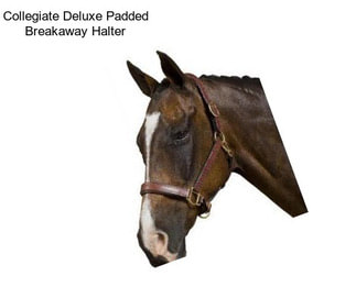 Collegiate Deluxe Padded Breakaway Halter