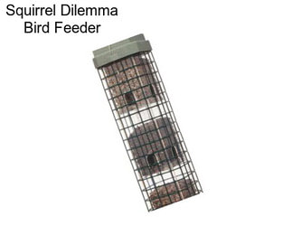 Squirrel Dilemma Bird Feeder