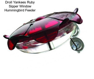 Droll Yankees Ruby Sipper Window Hummingbird Feeder