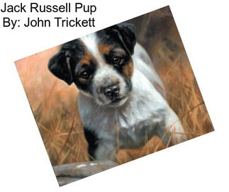Jack Russell Pup By: John Trickett