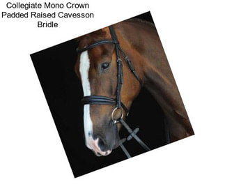 Collegiate Mono Crown Padded Raised Cavesson Bridle