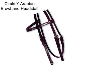 Circle Y Arabian Browband Headstall