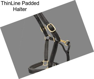 ThinLine Padded Halter