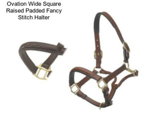 Ovation Wide Square Raised Padded Fancy Stitch Halter