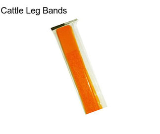 Cattle Leg Bands