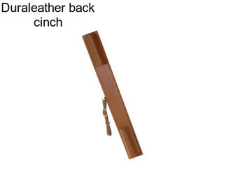 Duraleather back cinch