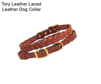 Tory Leather Laced Leather Dog Collar