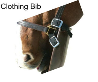 Clothing Bib