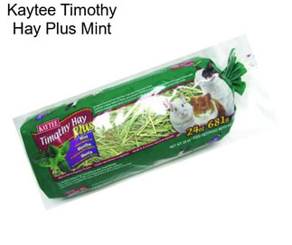 Kaytee Timothy Hay Plus Mint