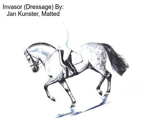 Invasor (Dressage) By: Jan Kunster, Matted