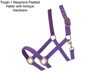 Tough-1 Neoprene Padded Halter with Antique Hardware