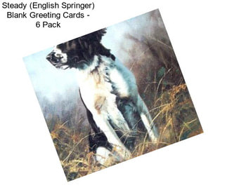 Steady (English Springer) Blank Greeting Cards - 6 Pack