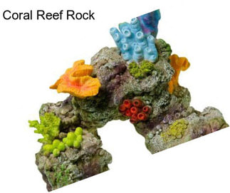 Coral Reef Rock