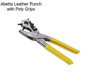 Abetta Leather Punch with Poly Grips