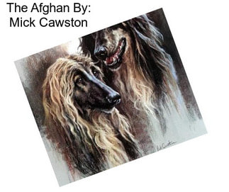 The Afghan By: Mick Cawston
