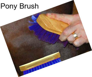 Pony Brush