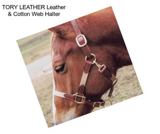 TORY LEATHER Leather & Cotton Web Halter