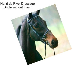 Henri de Rivel Dressage Bridle without Flash