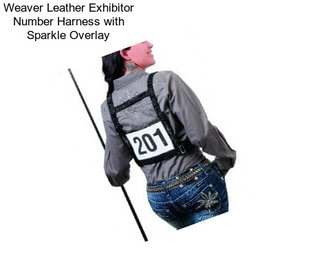 Weaver Leather Exhibitor Number Harness with Sparkle Overlay