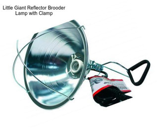 Little Giant Reflector Brooder Lamp with Clamp