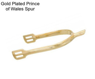 Gold Plated Prince of Wales Spur