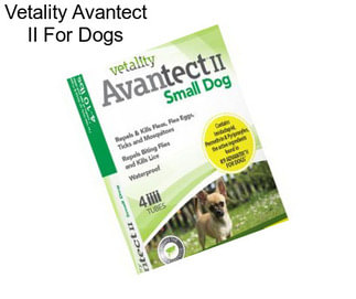 Vetality Avantect II For Dogs