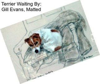 Terrier Waiting By: Gill Evans, Matted
