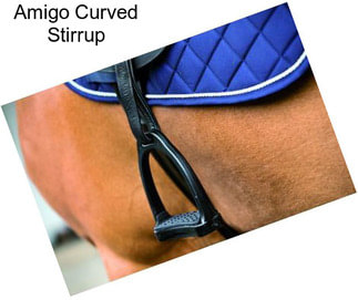 Amigo Curved Stirrup