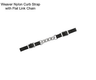 Weaver Nylon Curb Strap with Flat Link Chain