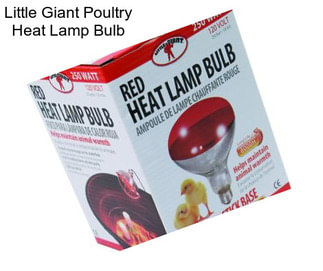 Little Giant Poultry Heat Lamp Bulb