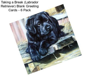 Taking a Break (Labrador Retriever) Blank Greeting Cards - 6 Pack