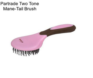 Partrade Two Tone Mane-Tail Brush