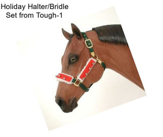 Holiday Halter/Bridle Set from Tough-1