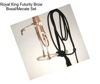 Royal King Futurity Brow Bosal/Mecate Set