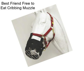 Best Friend Free to Eat Cribbing Muzzle