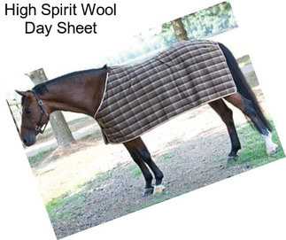 High Spirit Wool Day Sheet