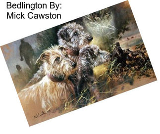 Bedlington By: Mick Cawston
