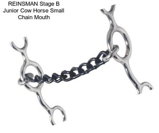 REINSMAN Stage B Junior Cow Horse Small Chain Mouth