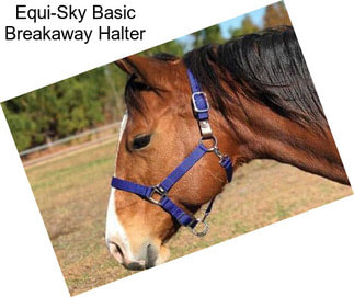 Equi-Sky Basic Breakaway Halter