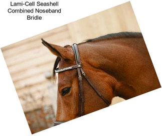 Lami-Cell Seashell Combined Noseband Bridle