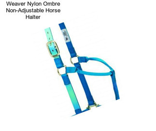 Weaver Nylon Ombre Non-Adjustable Horse Halter