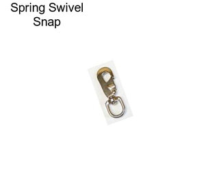 Spring Swivel Snap