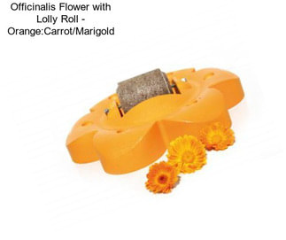 Officinalis Flower with Lolly Roll - Orange:Carrot/Marigold