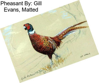 Pheasant By: Gill Evans, Matted