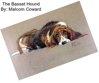 The Basset Hound By: Malcom Coward