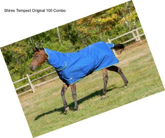 Shires Tempest Original 100 Combo