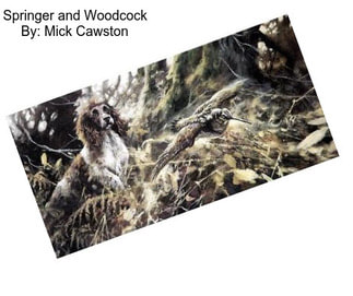Springer and Woodcock By: Mick Cawston